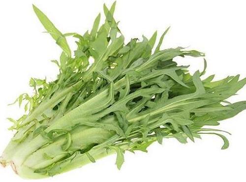 蔬菜品種：苦麥菜