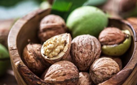 為什么核桃被稱為“長(zhǎng)壽果”？東莞生鮮食材配送中心告訴你